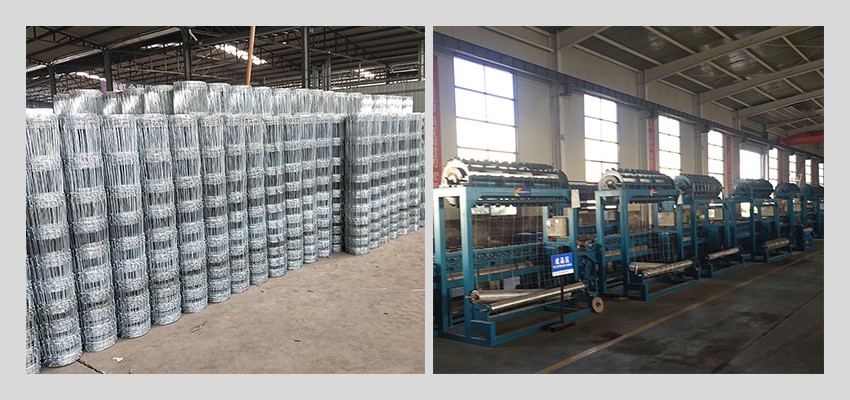 Cattle Wire Fence factory Cattle Wire Fence factory