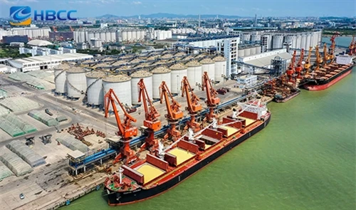 Globalna logistika i-rješenja za dostavu na vrijeme|Izvoz građevinskih i vrtn...
